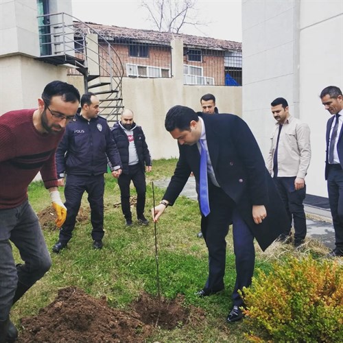 Kaymakamımız, 21 Mart Dünya Ormancılık Günü ve Haftası kapsamında İlçe Emniyet Amirliği bahçesinde 11 adet fidan dikimi gerçekleştirildi.